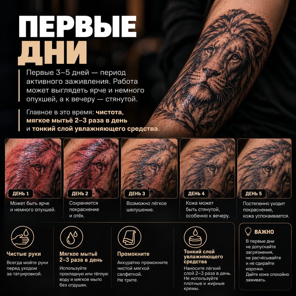 Первые дни
